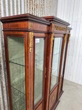 style Antique French cabinet  in Rosewood and brass 19th century