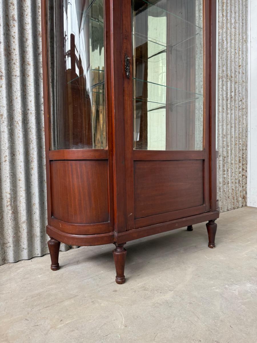 Antique Shopcabinet