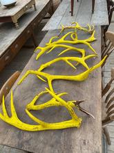 Antique style Antique yellow antlers