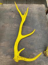 Antique style Antique yellow antlers
