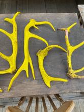 Antique style Antique yellow antlers