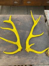 Antique style Antique yellow antlers