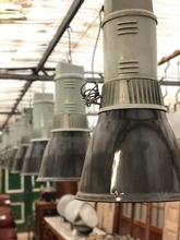 Lampen Industrieel stijl in Ijzer, Europa 20e eeuws