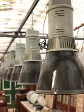 Industrial style Lamps in Iron, European 20th century