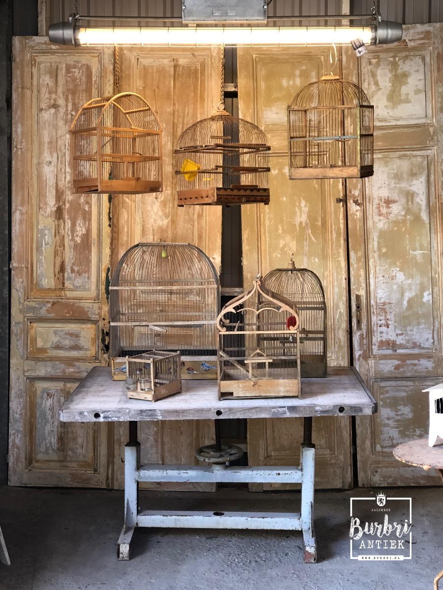 Adelaide tobben Doe alles met mijn kracht Antique old birdcages - Antieke winkel decoratie's - Winkelinrichtingen -  Burbri
